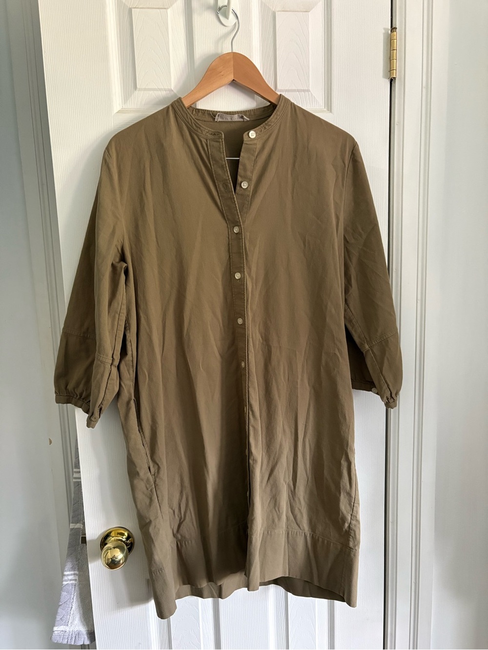 Everlane Olive 100% Cotton Dress